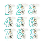 Olaf Number Set